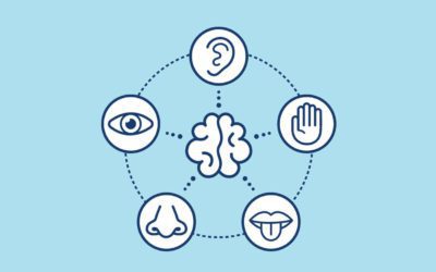 EL BRAND EXPERIENCE Y LOS 5 SENTIDOS