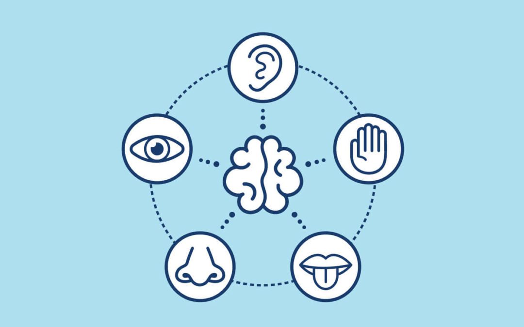 The 5 senses applied to marketing
